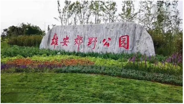 1649324144268272.png image.png