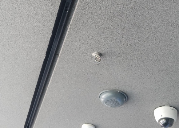 1745646569671960.png image.png