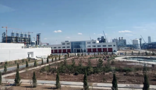 1766392499184274.png image.png